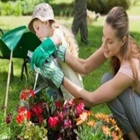 Landscapers Putney