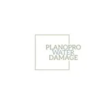PlanoPro Water Damage