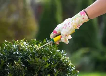 Pressure Washing Wanstead
