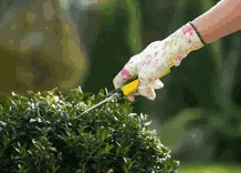 Pressure Washing Wimbledon