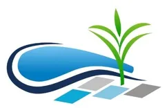 Phoenix Pool Patio & Landscape Design