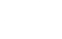 Swift Audit