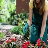 Landscapers Rotherhithe