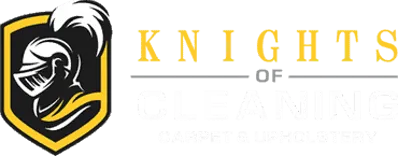 Knights of Cleaning