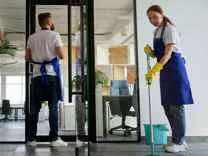 The Magnificent Cleaners Ltd