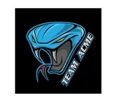 Team Acme Inc