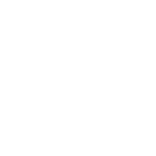 TopShine Mobile Detailing 