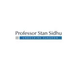 Professor Stan Sidhu