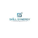 Skill Synergy