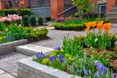 Paysager Summit Landscaping Inc.