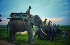 Kaziranga National Park Booking