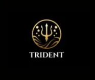 Trident Professional Cleaning Services