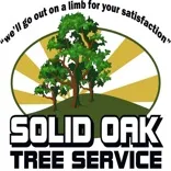 Solid Oak Tree Service