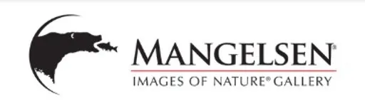 MANGELSEN—Images of Nature Gallery