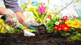 Home gardening