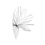 Gate Way Flora by Mortal Tree Design, LLC