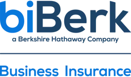 biBerk Insurance Services, Inc.
