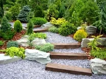 Arcadia Landscaping Pros