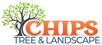 Chips Tree & Landscape