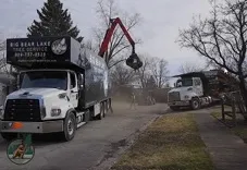 Big Bear Lake Tree Service