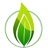 Delhi CNG Fitment