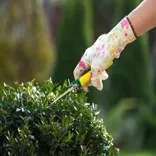 Landscapers Knightsbridge