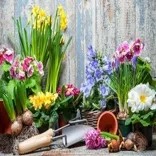 Landscapers Crouch End