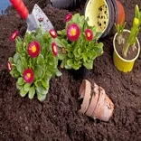 Landscapers Islington