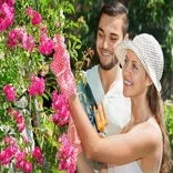 Landscapers Finchley