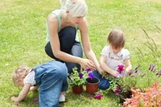 Landscapers Feltham