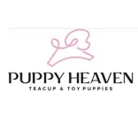 Puppy Heaven