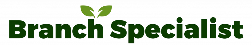 Tree Surgeons in South London-Branch-Specialist-Ltd