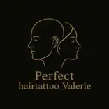 Micro Haar Pigmentatie (Perfect Hair Tattoo)