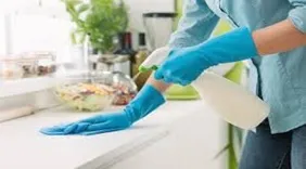 DP Cleaner Services