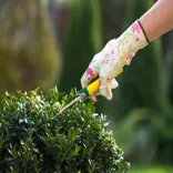 Pressure Washing Stratford