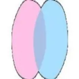 chatdansk