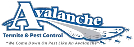 Avalanche Pest & Termite Control