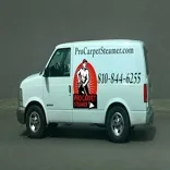 Pro Carpet Steamer