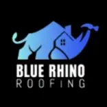 Blue Rhino Roofing and Solar