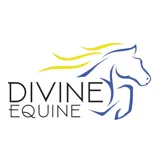 Divine Equine LLC