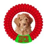 Tome Dog Toys
