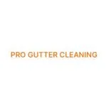 Pro Gutter Cleaning