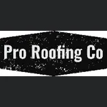 Pro Roofing and Construction LLC