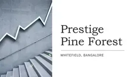 Prestige Pine Forest