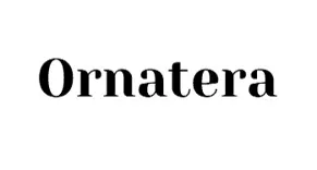 Ornatera Pillow