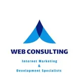 Web Consulting Agency