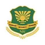 Noida International University