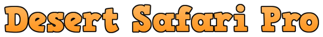 Desert Safari Dubai Pro Tours