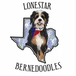 Lonestar Bernedoodles