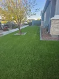 Desert Grass and Greens